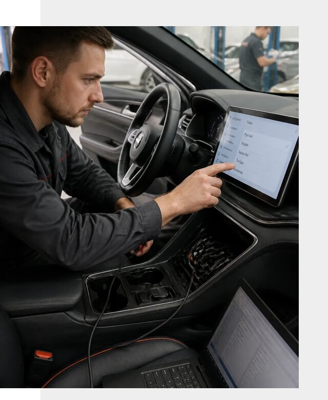 Профессиональная русификация BYD SONG Plus в Вичуге